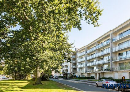 Appartement te huur in Wilrijk